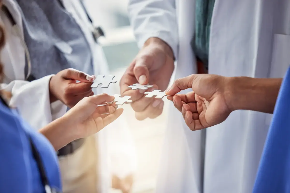 Puzzle Pieces Advisory and Employer Website